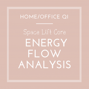 Space Lift Core Floor Plan Analysis