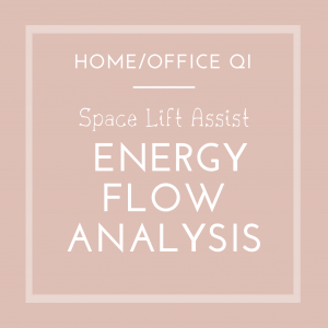 Space Lift Assist Floor Plan Analysis