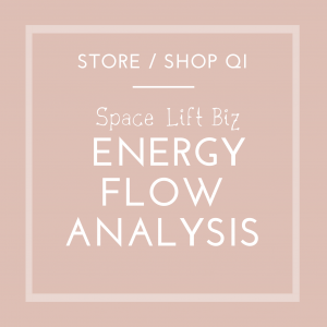 Space Lift Biz Floor Plan Analysis for Stores & Shops